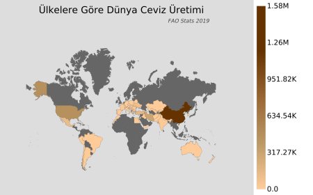 Ceviz ithalatına talep her zaman mevcuttur