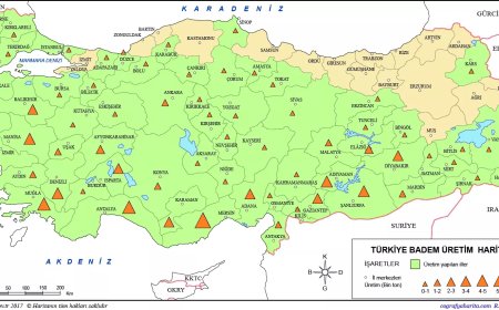 Almond growing areas in Turkey