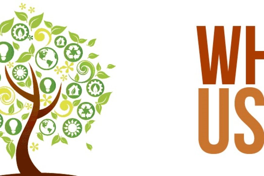 بزراعة اللوز كيف تقوم MG AGRI-INVESTMENT