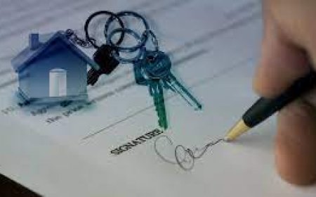 كم يحق للأجنبي الامتلاك من مساحة كحد أقصى في تركيا ؟