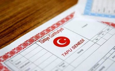 سندات الأراضي الزراعية والصالحة للإعمارما الفرق ؟